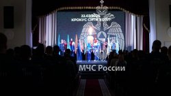 Сборная Академии принимает участие в всероссийских соревнованиях МЧС России «Кубок образовательных организаций высшего образования МЧС России» по пожарно-спасательному спорту